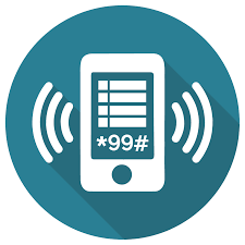 Software Solutions / USSD Solutions Software Solutions / USSD Solutions